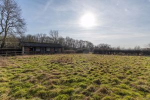 Photo 14- click for photo gallery